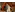 image_