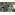 image_