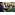 Открытое первенство Кронштадта по восточному боевому единоборству КОБУДО, приуроченное ко Дню защ...
