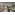image_