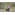 image_
