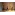 image_