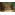 image_