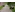 image_