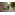 image_