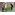 image_