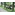 image_