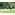 image_