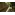 image_