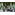 image_