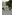 image_