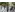 image_