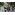 image_