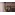 Торжественная церемония открытия фотовыставки, посвященной 25-летию прославления святого праведно...