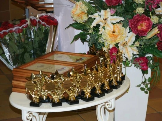 Ежегодный районный конкурс молодежных добровольческих проектов