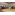 Первенство Кронштадтского района по дзюдо и самбо