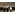 image_