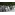 image_