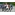 image_