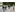 image_