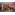 image_