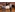 image_