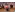 image_