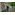 image_