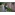 image_
