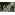 image_