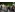 image_