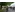image_