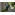 image_