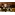 image_
