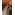 Встреча делегации молодежи из Японии