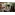 image_
