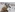 image_