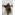 image_