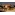 image_