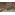 image_