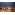 «В поисках елки»